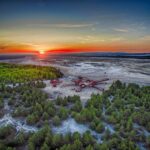 z27493515IHG,Pustynia-Bledowska