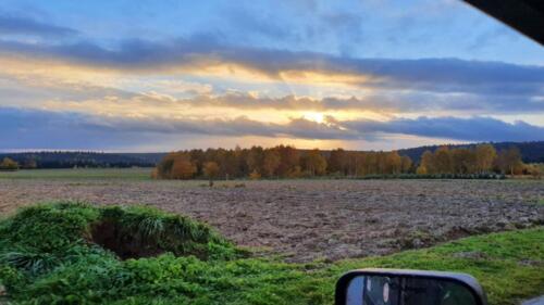 IMG-20211024-WA0038
